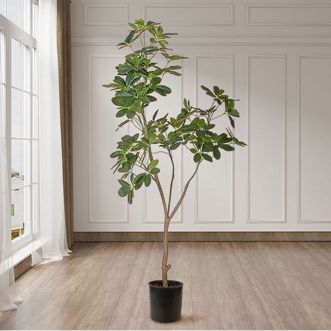 SOGA 4X 160cm Artificial Natural Green Schefflera Dwarf Umbrella Tree Fake Tropical Indoor Plant Home Office Deco - Essential Needs