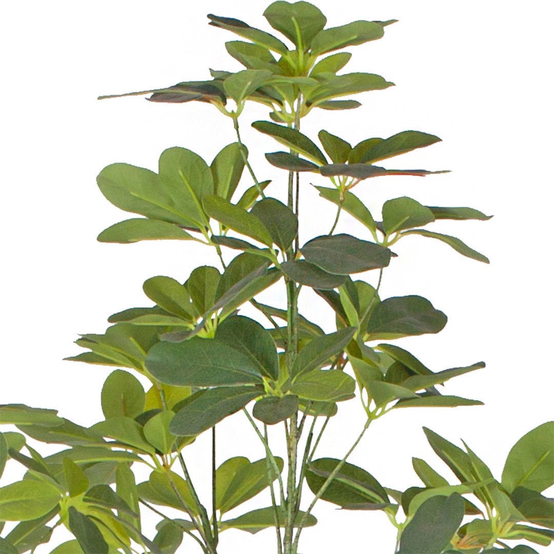 SOGA 4X 160cm Artificial Natural Green Schefflera Dwarf Umbrella Tree Fake Tropical Indoor Plant Home Office Deco - Essential Needs